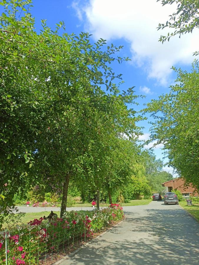Les Chambres Du Vert Galant Rez De Jardin Verlinghem Esterno foto