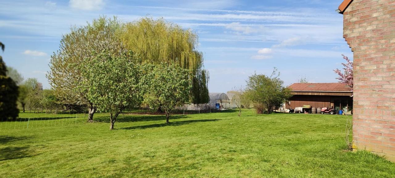Les Chambres Du Vert Galant Rez De Jardin Verlinghem Esterno foto